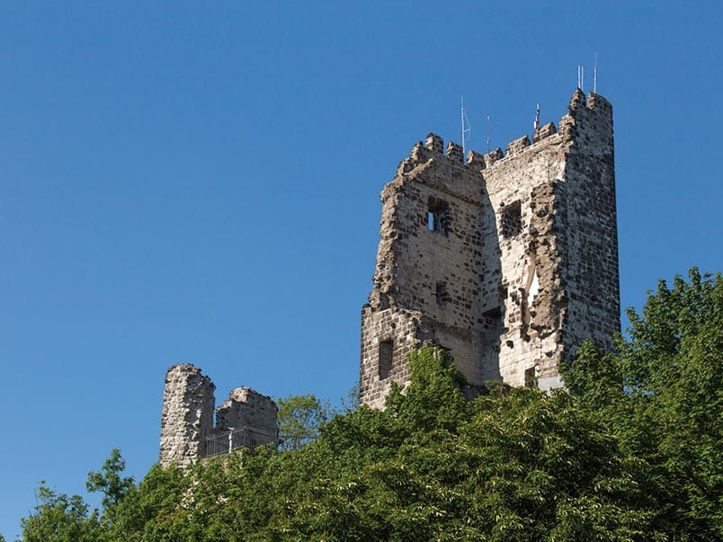 Drachenfels Castle